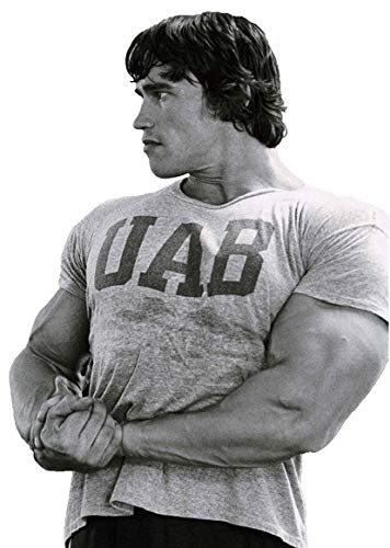 BEBAK - Camiseta de gimnasio para hombre | Camiseta de culturismo, ropa de gimnasio para hombre, Arnold Schwarzenegger UAB Gym Wear