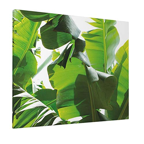 Botany Canary Island Foliage Refreshing Flourishing Tranquil Large Evergreen Leaf Picture Es Lime Green Painting Premium Panoramic Canvas Wall Art Painting 16"X 20"