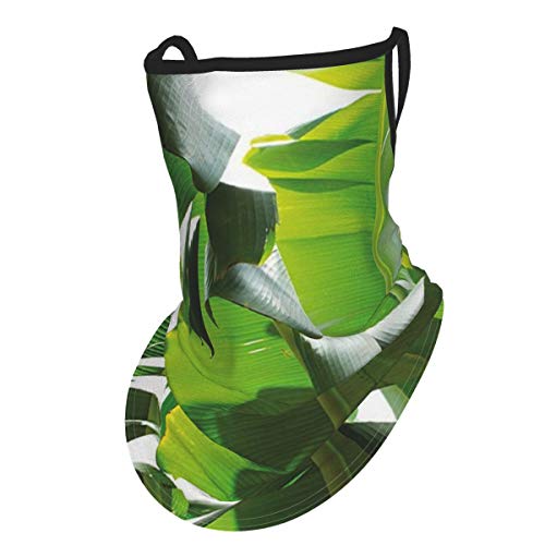 Botany Canary Island Foliage Refreshing Flourishing Tranquil Large Evergreen Leaf Picture Es Lime Greenear Hangers Uv Protection Neck Gaiter Scarf, Outdoor Headband For Fishing Cycling Hiking