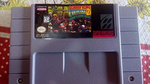 Donkey Kong Country 2 ~ Diddy's Kong Quest ~