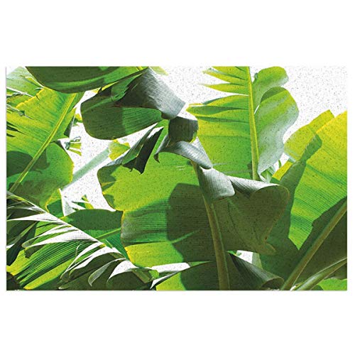 Hat&C Botany Canary Island Foliage Refreshing Flourishing Tranquil Large Evergreen Leaf Picture Es Lime Green Mats Non Slip Rubber Mat Floor Mats Kitchen Rugs Washable Light Door Mat