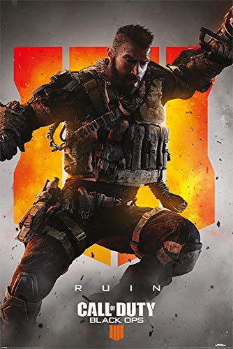 Póster Ruin. Call of Duty: Black Ops 4