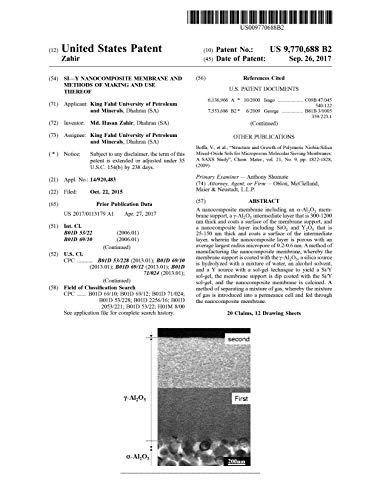 Si--Y nanocomposite membrane and methods of making and use thereof: United States Patent 9770688 (English Edition)