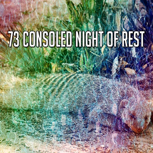 73 Consoled Night of Rest