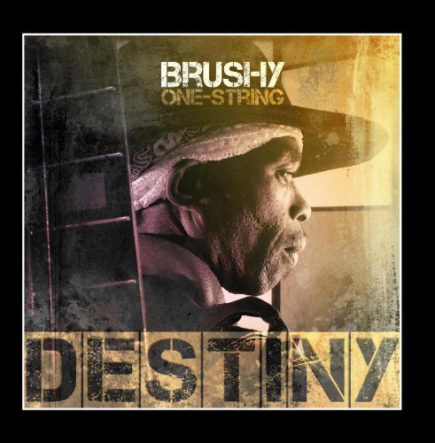 Destiny by Brushy One String (2013-05-04)