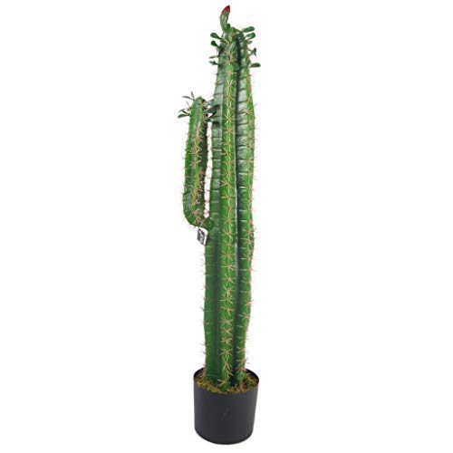 Leaf - Cactus Artificial (100 cm, con Maceta, 110 cm)