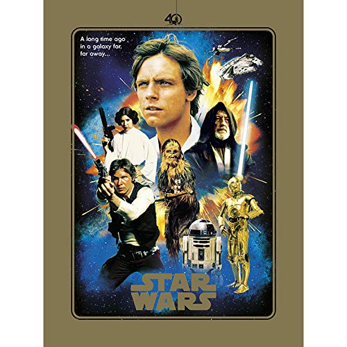 ERIK - Lámina decorativa 40 Aniversario Heroes, Star Wars (30x40 cm)