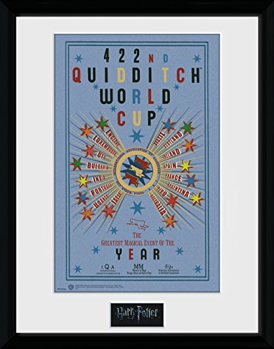HARRY POTTER GB Eye LTD, Quidditch World Cup 2, Print Enmarcado 40 x 30 cm
