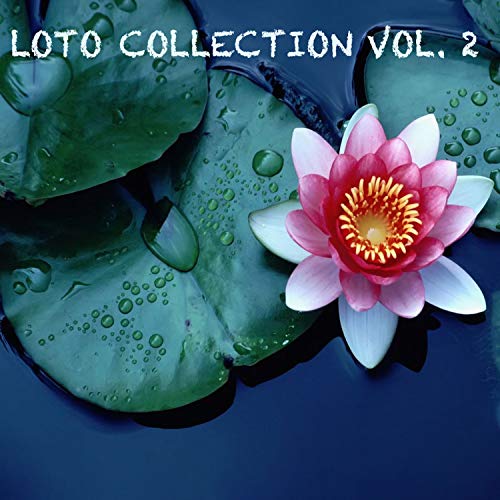 Loto Collection, Vol. 2