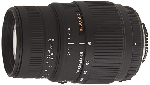 Sigma 70-300/4-5.6 BMD Macro DG - Objetivo para Nikon (Distancia Focal 70-300mm, Apertura f/4-5,6, Macro, diámetro: 58mm) Color Negro