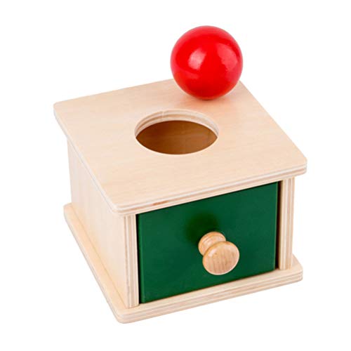 Toddmomy 1 Pieza Caja de Permanencia de Objetos Montessori Juguetes de Coordinación Ojo-Mano de Madera Juguetes Montessori de Aprendizaje Preescolar para Niños Pequeños (Estilo de Cajas de