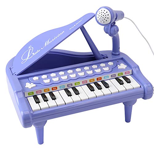 Amy & Benton Mini Juguete de Piano con 24 Teclas, Regalo del Bebé para niñas Piano Teclado Juguete con Micrófono, Instrumento Educativo con Luces y Canciones de Música de 1 2 3 años (Púrpura)