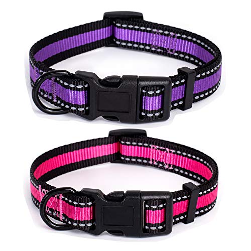Mile High Life Collar de perro | Raya reflectante 3M con banda de nailon (2 unidades púrpura/rosa, cuello XS 9"-13" -20 libras)