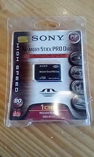 Sony Memory Stick Pro Duo 1GB Memoria Flash MS - Tarjeta de Memoria (1 GB, MS, 10 MB/s, 10 MB/s)