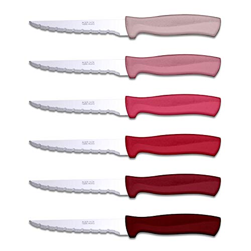 TB Group - Juego de 6 cuchillos para carne Record (cuchillas de acero inoxidable, mangos de ABS, colores surtidos), color rojo