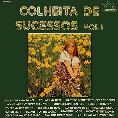 The Best of the 70s / Colheita De Sucessos: O Melhor Dos Anos 70