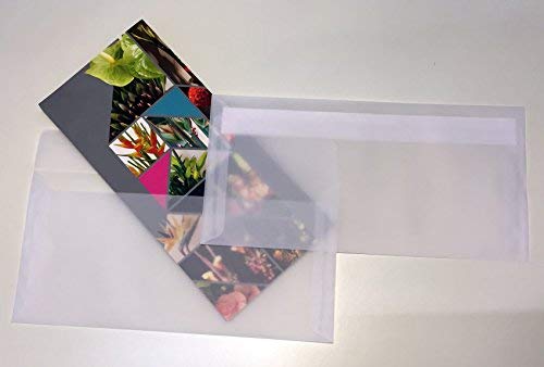 100 sobres blancos transparentes, cierre autoadhesivo con tira, Premio: 100 g/m², 220 x 110 mm,