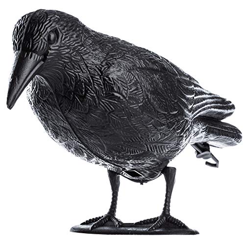 KADAX Cuervo negro, Ahuyentador de Palomas, Repelente de palomas, Repelente de Pájaros, Protección contra plagas de pájaros y palomas