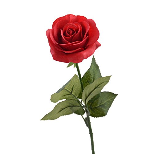 LCCL La Bella y la Bestia Rose Kit Completo para la decoración, Boda, Fiesta, cumpleaños, Aniversario (Rosa Roja)
