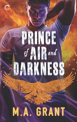 Prince of Air and Darkness: A Gay Fantasy Romance (The Darkest Court Book 1) (English Edition)