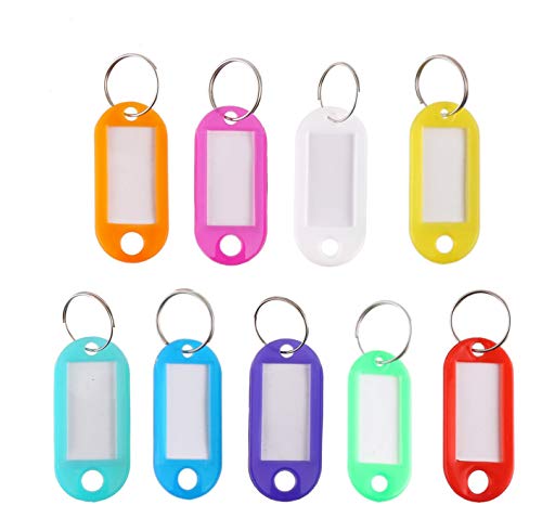 Rmeet Etiquetas con Llaveros Plástico,100 Pack Etiquetas de Colores Transparentes Llavero de Identificación con Ventana Etiquetas para Oficina 10 Colores