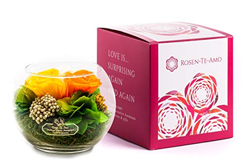 Rose Te-Amo 3 Rosas Premium - Durable nuestro acuerdo exclusivo hecho a mano de flores y hecho con amor preservada disposición REAL, Naranja / Champagne / Amarillo, XL