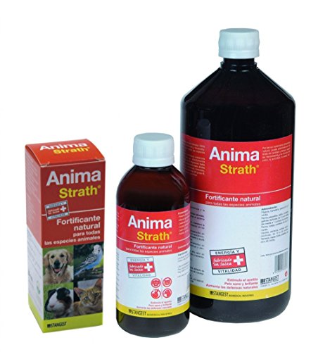Stangest Anima Strath Complemento Nutricional - 250 ml
