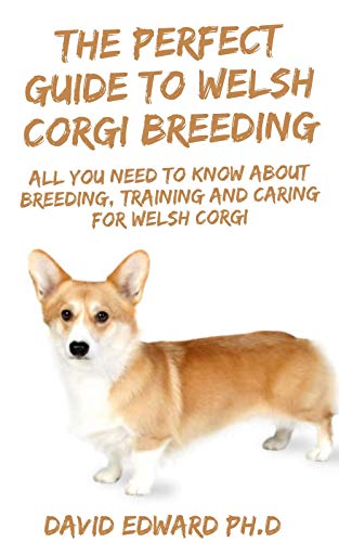 THE PERFECT GUIDE TO WELSH CORGI BREEDING: All You Need To Know About Breeding, Training And Caring For Welsh Corgi (English Edition)