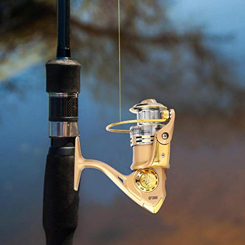 DAUERHAFT Carrete Giratorio de fácil Almacenamiento Dorado con Interruptor Anti-Retroceso Diseño de Copa de Carrete, para Amantes de la Pesca(Model 3000)