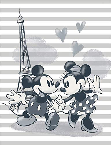 Grupo Erik C30X40CM005 Erik C20X25Cm001 Cuadro Lienzo Canvas Disney Mickey & Minnie Torre Eiffel Parigi 30X40 Cm, Multicolor
