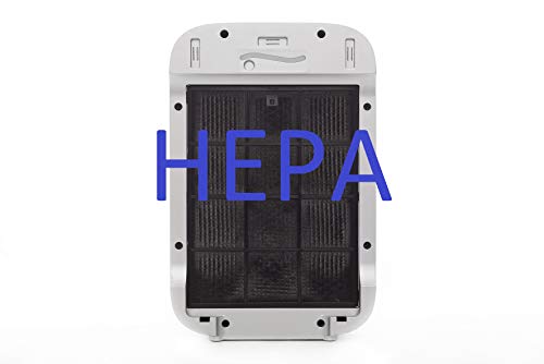 HAVERLAND Filters AIRPURE19 | Pack 2 Filtros para Purificador de Aire AIRPURE19 | 1 Filtro HEPA + 1 Filtro Carbón Activo Desodorizante | Elimina Contaminantes y Alergenos