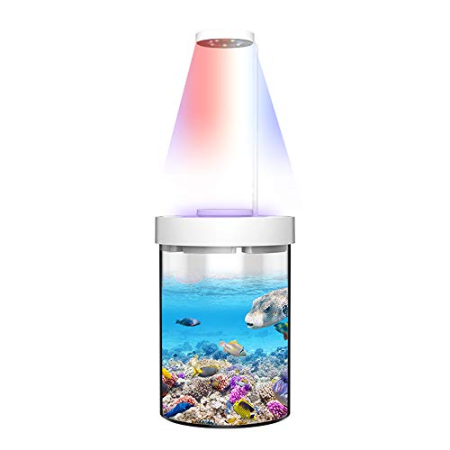 KKmoon Acuario mini con función antimosquitos para medka y peces tropicales con poco ruido acuario pequeño con iluminación LED de bajo consumo silencioso 6,29 x 6,29 x 9,29 pulgadas