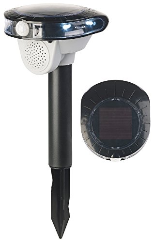 Royal Gardineer Control de Aves: Miedo Solar a los pájaros, Sensor de Movimiento, 3 Sonidos, Linterna LED, 95 dB (Paloma susto con Detector de Movimiento)