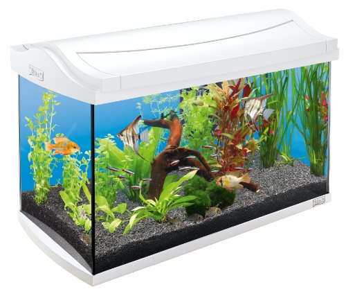 Tetra AquaArt Kit de acuario completo Discover Line, 60L 60 L white