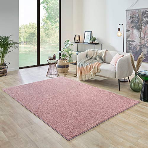 Carpet Studio Ohio - Alfombra de salón, 160 x 230 cm, suave pelo corto, para salón, comedor y dormitorio, fácil cuidado, olor neutro, color rosa