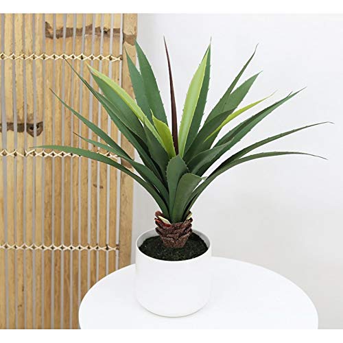 Línea Deco | Aloe Artificial | 50 cm | Planta verde artificial | Planta grasa suculenta tropical | árbol | Decoración del hogar | casa oficina