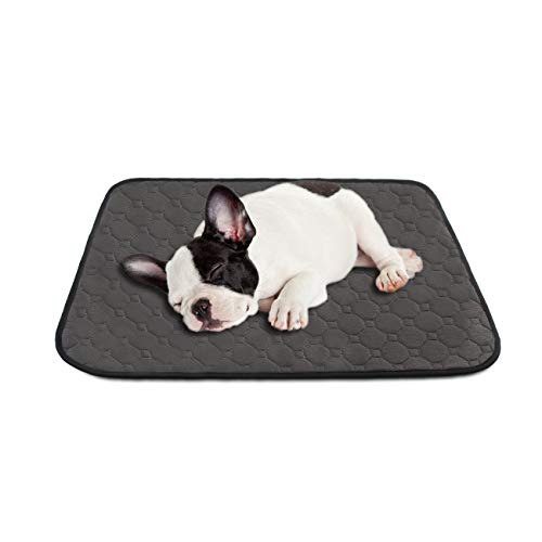 MeijieM 2 Piezas Alfombras de Adiestramiento para Perros y Gatos - Pañales Impermeable Sanitarias Lavables y Reutilizables para Mascotas Pequeños y Medianos(60 * 45cm)