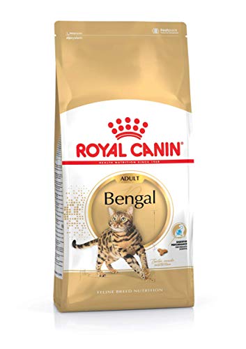 ROYAL CANIN Bengal - Comida para Gatos, 10 kg