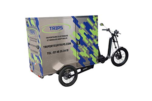 TRIPS - Triportador triciclo eléctrico de 250 kg de carga. Módulos: Street Food Truck Cociine- Trans palets – Pickup – Cargo envío – Taxi – (Cargo)