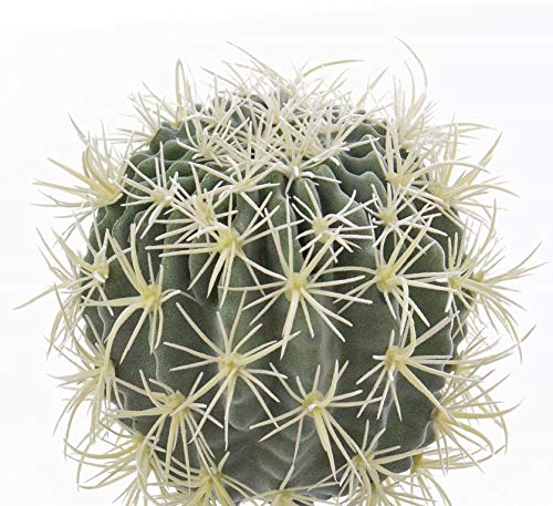 artplants.de Set de 2 x Cactus Asiento de Suegra, Verde-Amarillo, Ø 34cm - Cactus Artificial - Planta Decorativa
