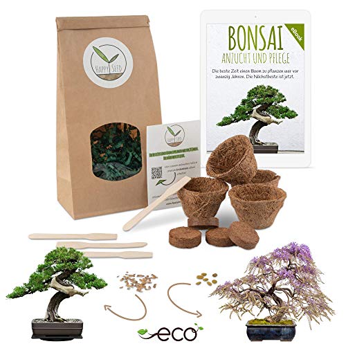 Bonsai Kit incl. eBook GRATUITO - Set con macetas de coco, semillas y tierra - idea de regalo sostenible para los amantes de las plantas (Wisteria + Pino Australiano)