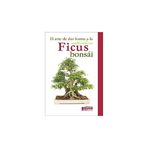 Guía Ficus bonsái