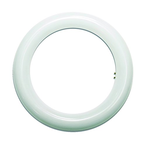 LightED Tubo LED Circular 2G10, 15 W, Blanco, 215 mm, tubular, cristal