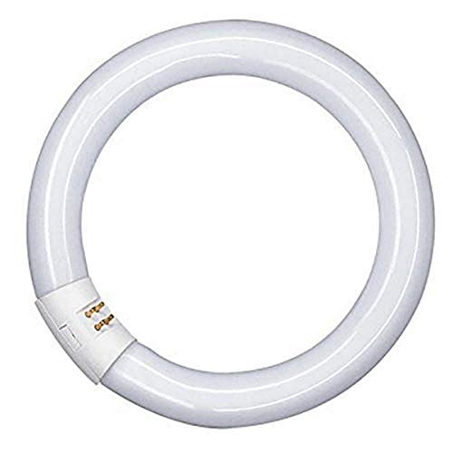 Osram Lumilux T9 Tubo Fluorescente GR10q, 32 W, Blanco (Cool White), 30.5 cm Energy class B