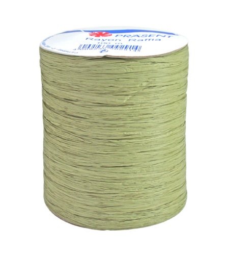 Präsent - Bobina de cordón (rayón, 100 m), Color Verde