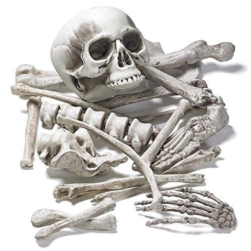 PREXTEX - Bolsa de Huesos y Cráneo de Esqueleto de 18 Piezas para la Mejor Decoración de Halloween y el Cementerio más Escalofriante