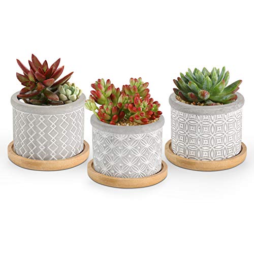 T4U 6CM Macetas para Cactus de Cemento con Plato de Bambú Paquete de 3, Mini Maceteros Pequeños para Suculento Plantas Casa y Jardin Boda Decorativos Interior
