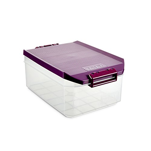 TATAY 1150220 - Caja de Almacenamiento Multiusos con Tapa, 4,5 l de Capacidad, Plástico Polipropileno Libre de BPA, Transparente con Tapa Morada, 19,2 x 29,7 x 12,4 cm