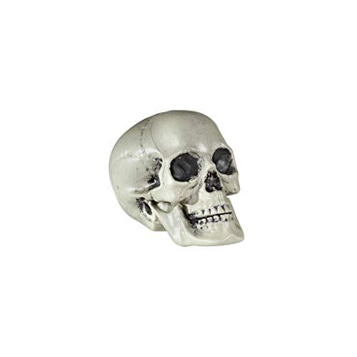 Widmann 01379 - cráneo de plástico, tamaño de alrededor de 21 cm
