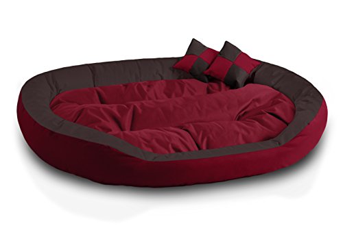 BedDog® 4en1 Saba Rojo/Marron XXXL Aprox. 150x120cm colchón para Perro, 7 Colores, Cama, sofá, Cesta para Perro